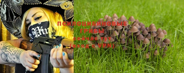 меф Белокуриха